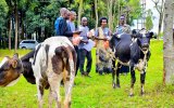 Muhanga: Baragaya abikorera bashoye amafaranga mu kwica Abatutsi