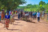 Iburasirazuba: Umuganda wibanze ku gukumira ibiza no gusana ibyo byangije