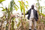 Nyagatare: Barishimira ko babonye umusaruro uhagije babifashijwemo na Tubura