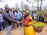 Minisitiri w'Intebe yagejejweho ikibazo cy'imihanda mibi ituma umusaruro w'icyayi wangirika utaragera ku ruganda