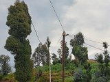 Nyaruguru: Abahawe amashanyarazi y'imirasire barasaba gusanirwa kuko batagicana
