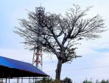 Menya amateka y'Ibigabiro bya Rwamagana