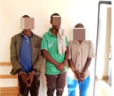 Inka zibwe i Rwanda zabonetse, abakekwaho kuziba barafatwa