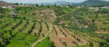 U Rwanda rwahawe Miliyoni 18 z'Amadolari yo kwagura umushinga ‘Green Amayaga'