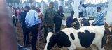 Rubavu: PSF yanenze abikorera bishe abari abakiriya babo