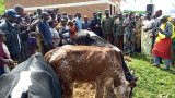 Umuganura ni umunsi wo kuzirikana kutarira kumara - Mayor Kayitare