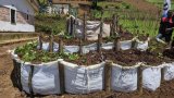 Burera: Biyemeje gukura abana bose mu mirire mibi bitarenze amezi atatu