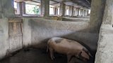 Iwawa hamuhinduye rwiyemezamirimo, ibikorwa bye bihagaze Miliyoni 300Frw