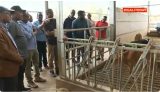 Minisitiri w'Intebe yasuye umushinga w'ubuhinzi n'ubworozi wa Gabiro n'ibindi bikorwa