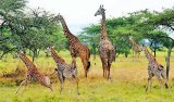U Rwanda rugiye gushinga ishuri rizigisha ibijyanye no kubungabunga ibidukikije