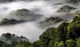 Ab'i Nyamagabe barifuza ko pariki ya Nyungwe yazitirwa